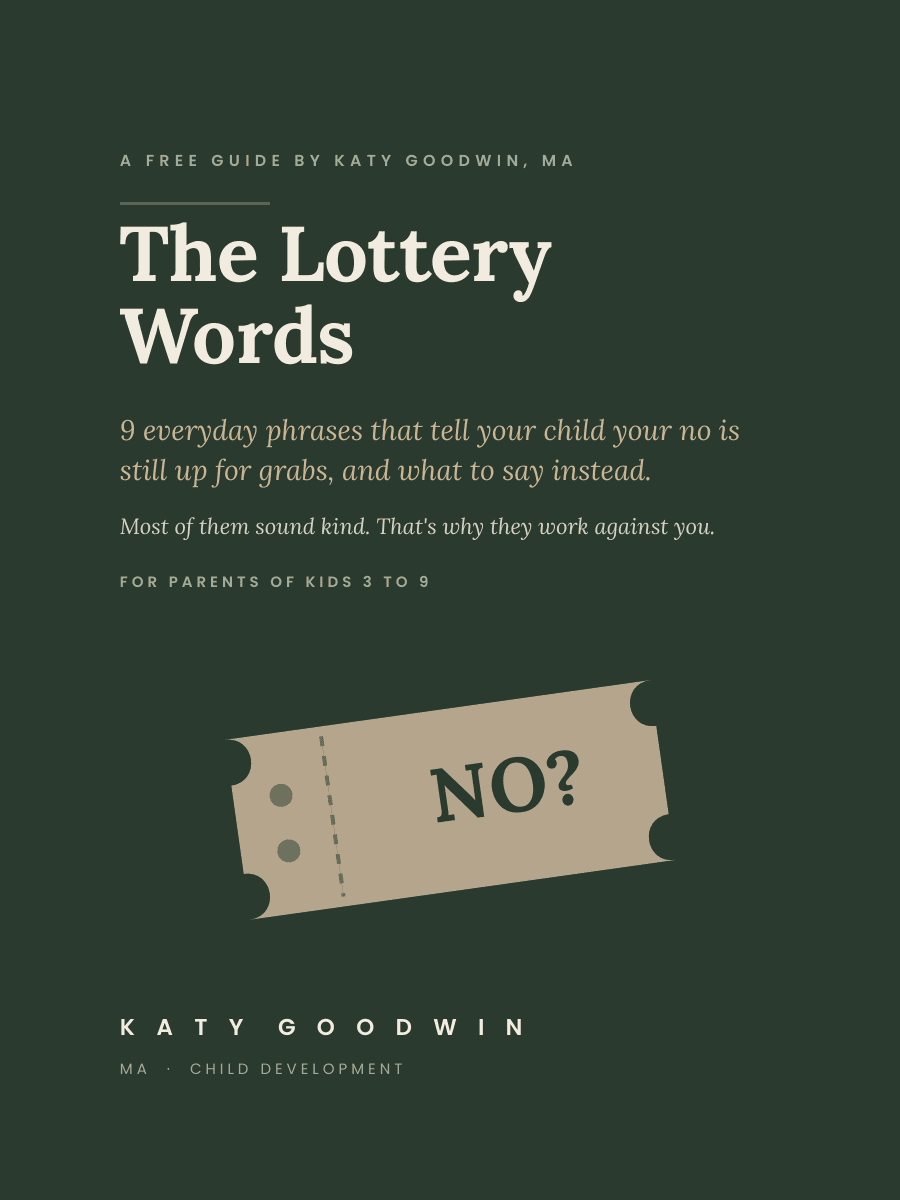 Cover of the guide The Lottery Words